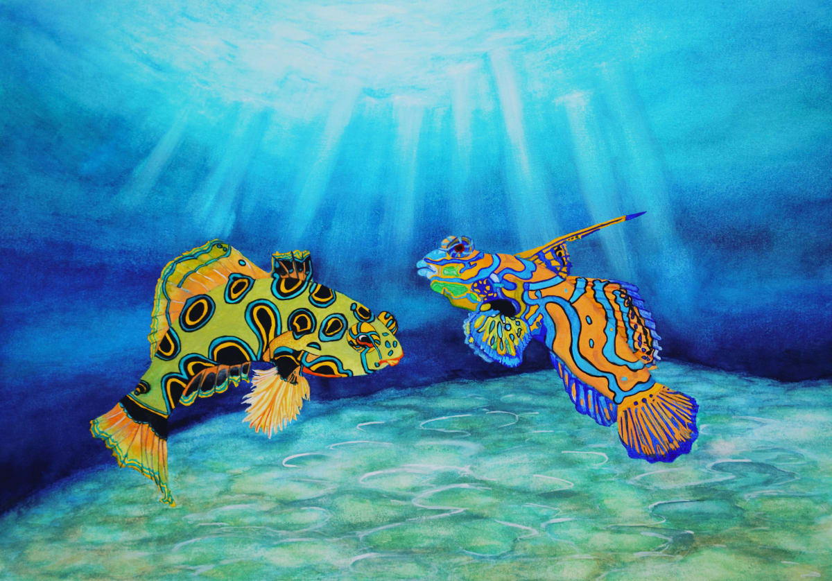 Commissioned Watercolour Painting - 'Mandarinfish' by Jude Scott  Image: Commission in water colour for a birthday gift. These beautiful and brightly coloured tropical fish are members of the dragonet family and very popular in the saltwater aquarium trade, native to the Pacific ranging from Ryukyu Islands south to Australia. A3 size.