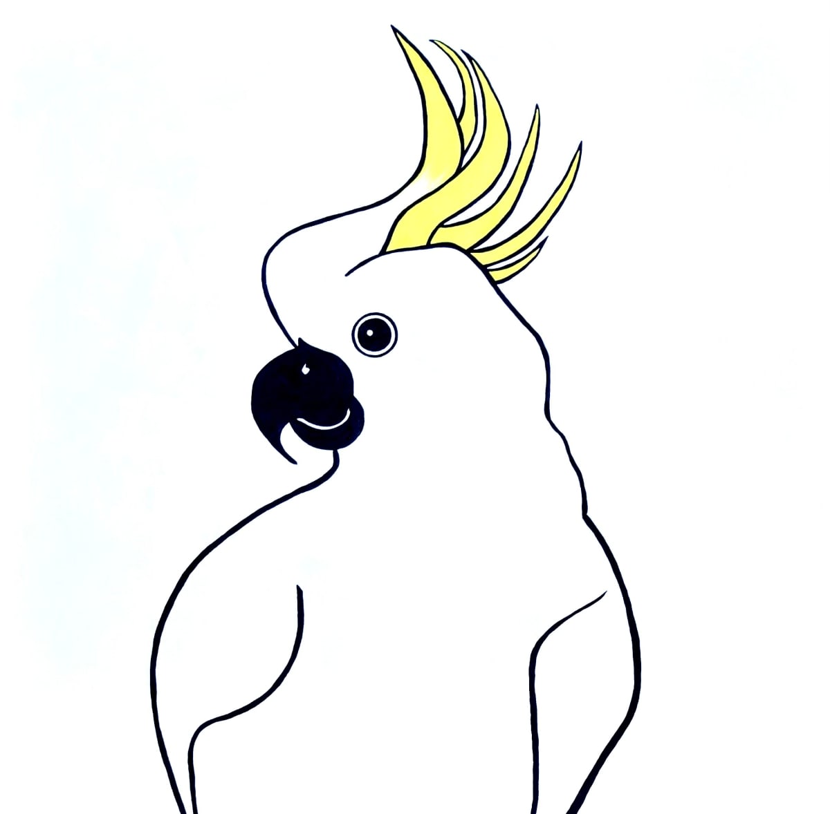 Commissioned Painting - 'Cockatoo' by Jude Scott  Image: Commission of a Cockatoo, a characterful Australian bird. A simple outline with minimal detail was the request of the client. Framed in European beech float frame.