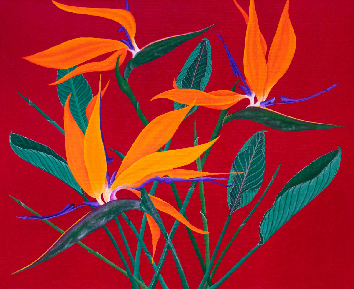 Warrior Birds by Jude Scott  Image:  A variation of the previous 'Strelitizia" still life on paper in 2019. The title of the painting came from the 'warrior' position in yoga, and these robust  flowers also strike a strong pose. I did enter this in a competition run by BAM (Byron Arts Magazine) but was not selected.