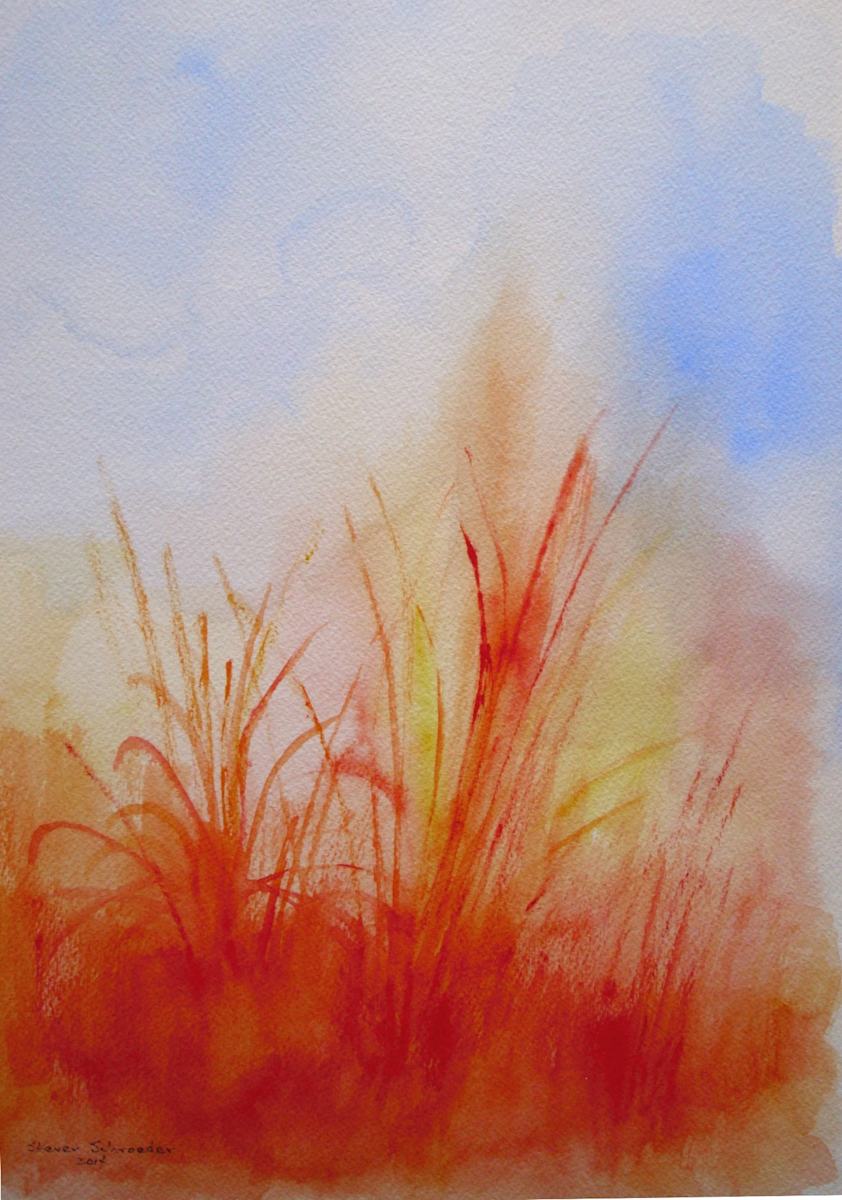 grass by Steven Schroeder, Image 1.