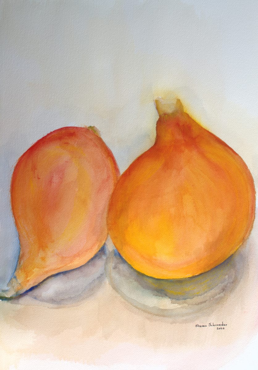 red kuri squash by Steven Schroeder 