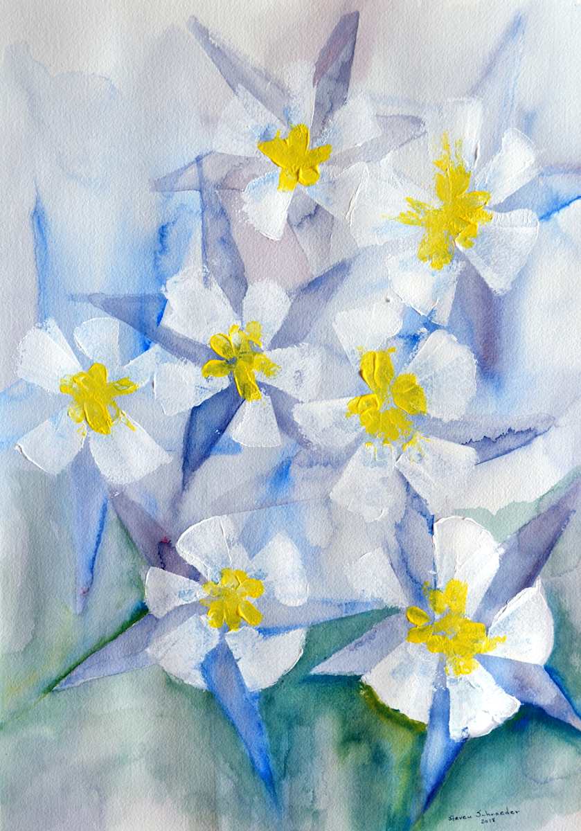 seven gifts by Steven Schroeder, Image 1.