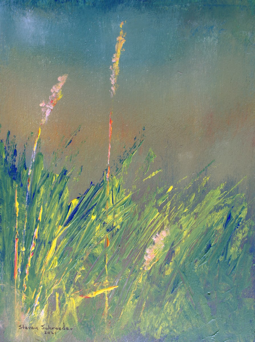 simple as grass 3 by Steven Schroeder 