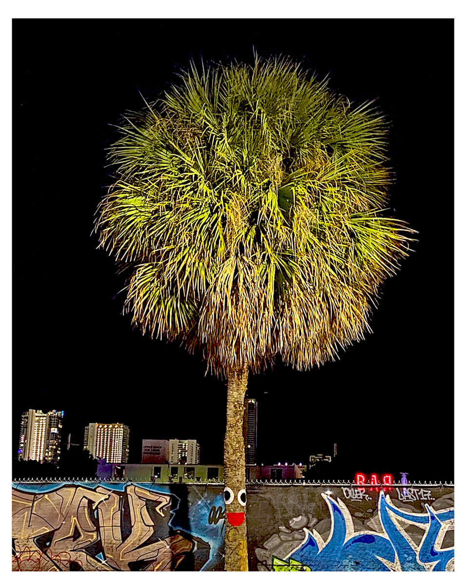 Wynwood Smile by joann, Image 2.