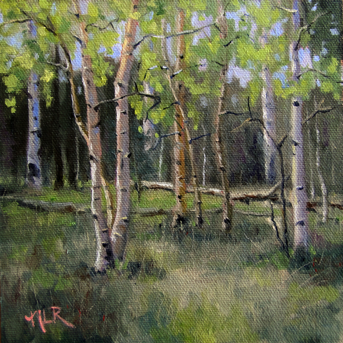 Aspen Dance by Nancy Romanovsky 