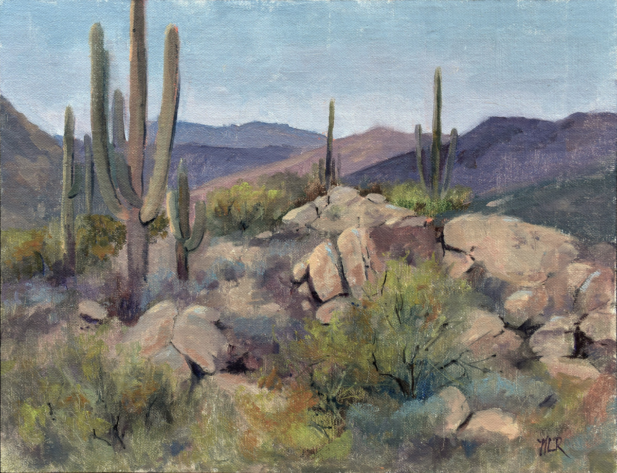 Brown's Ranch at McDowell Mountain by Nancy Romanovsky 