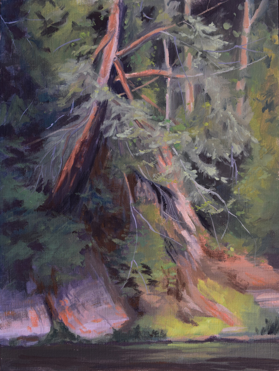 Hemlock study by Nancy Romanovsky 