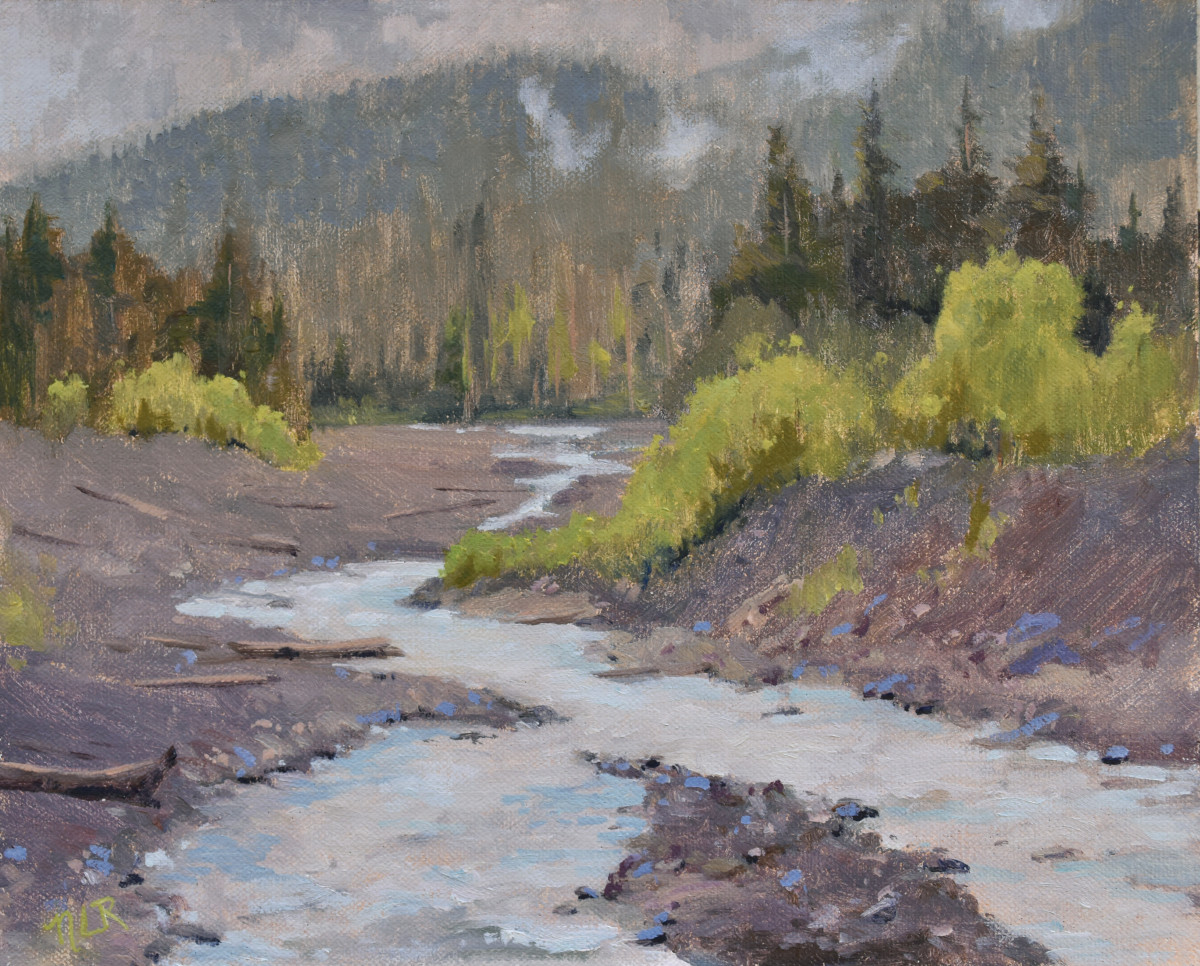 View from Longmire Bridge by Nancy Romanovsky 