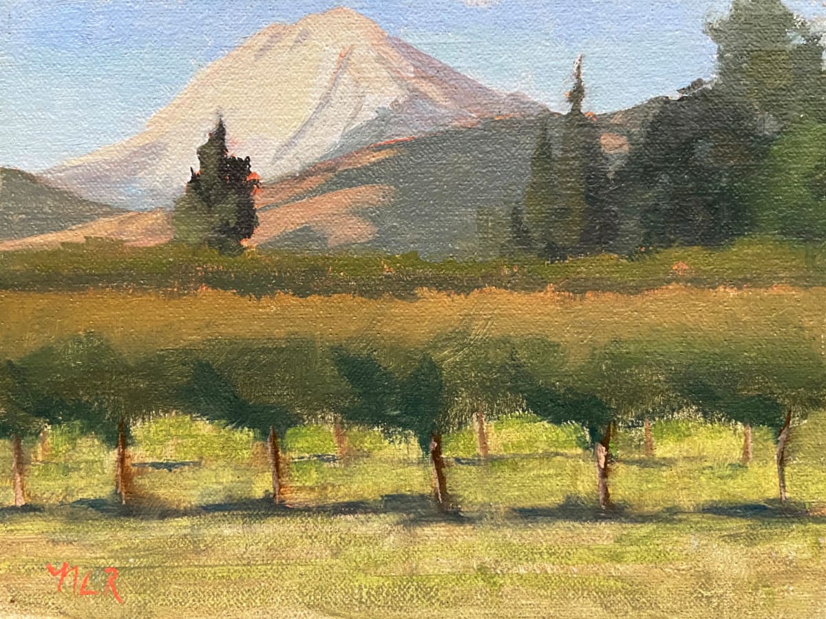 Mt. Adams by Nancy Romanovsky 