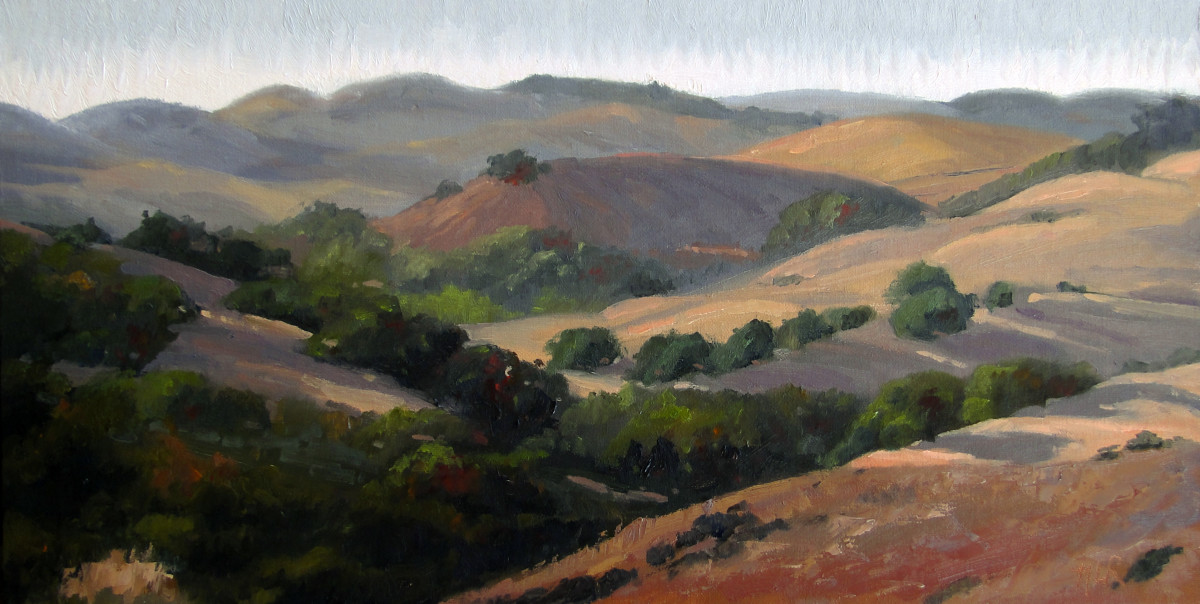 California Hillside by Nancy Romanovsky 