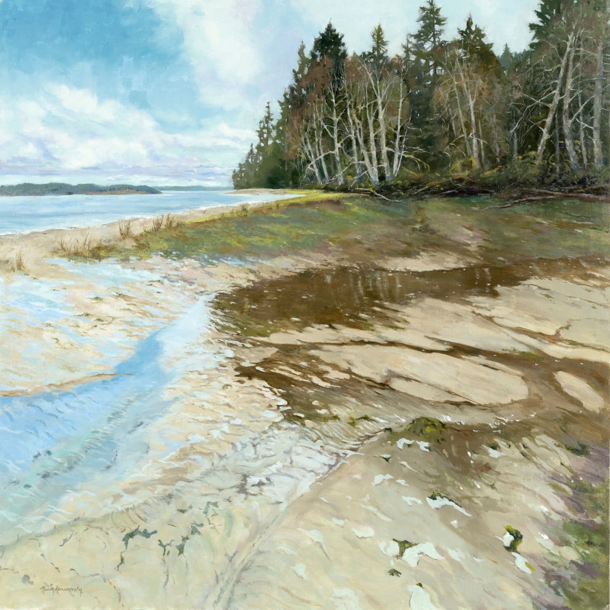 Tide-scape. Tolmie State Park. by Nancy Romanovsky 