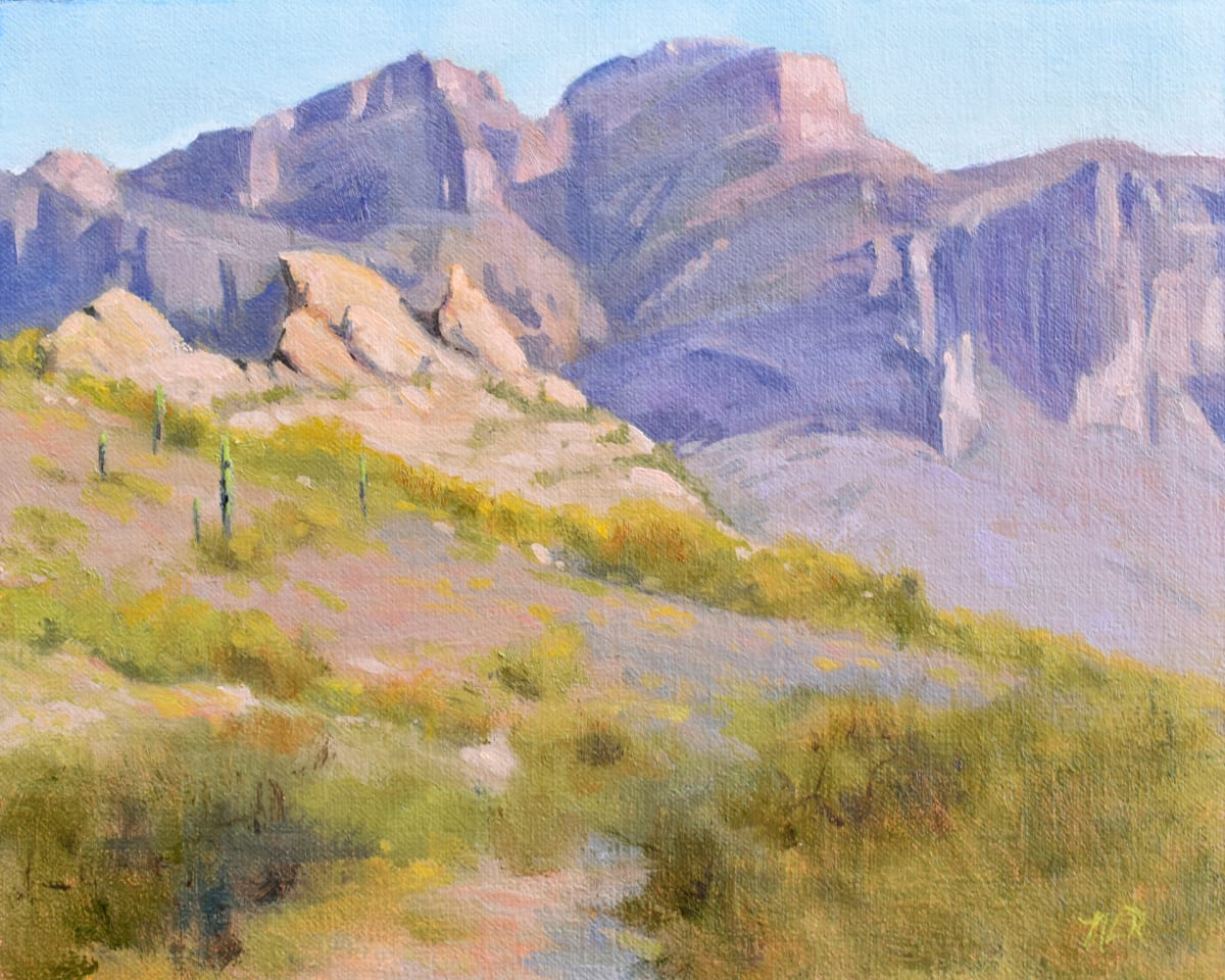 Tour of the Superstitions 1 by Nancy Romanovsky 