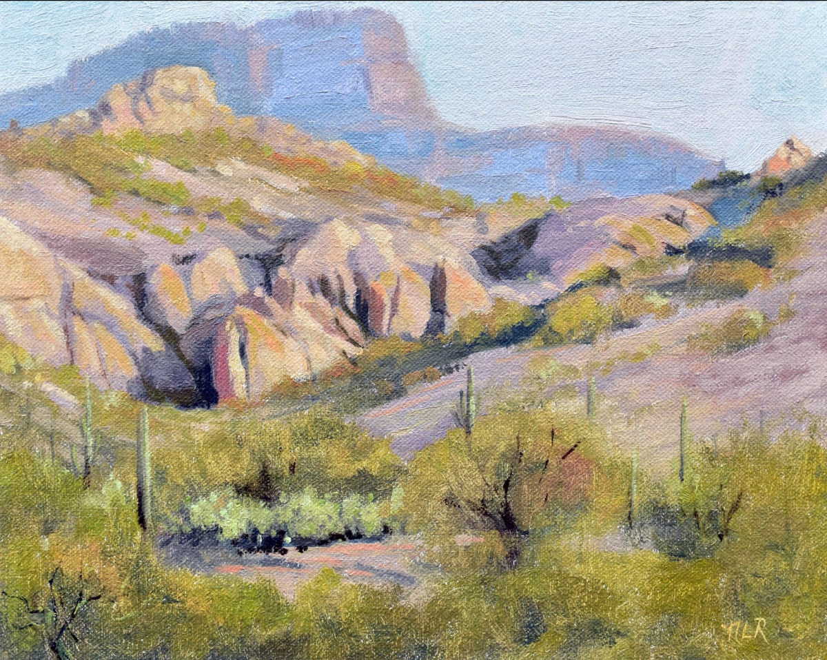 Bulldog Canyon by Nancy Romanovsky 