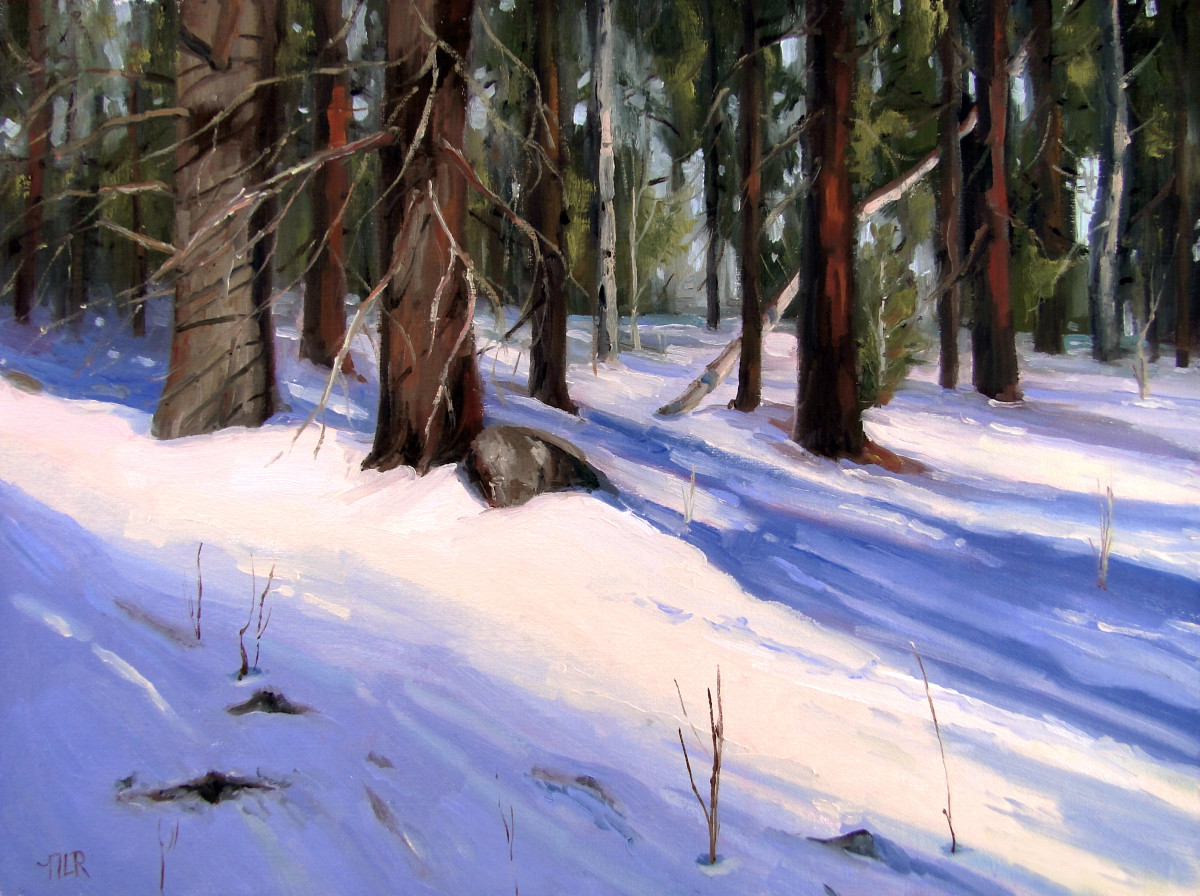 Winter Shadows by Nancy Romanovsky 