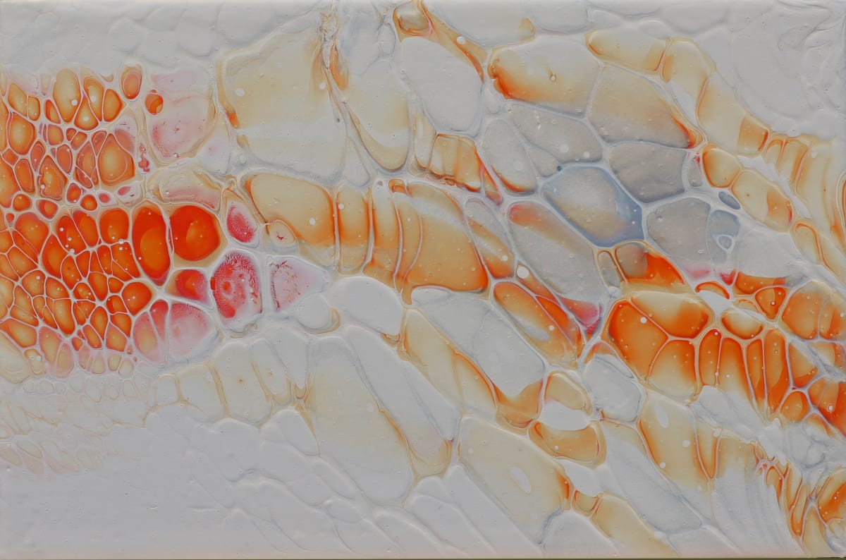 Orange 1 by Simone Rioux 