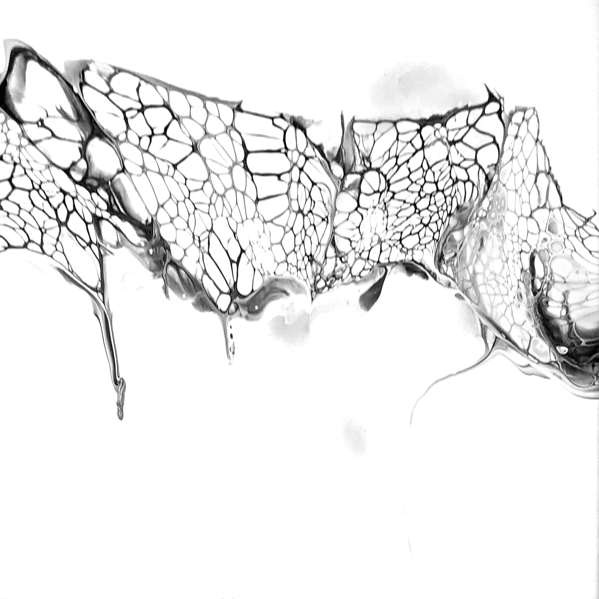 Black and White Study no. 2 by Simone Rioux 