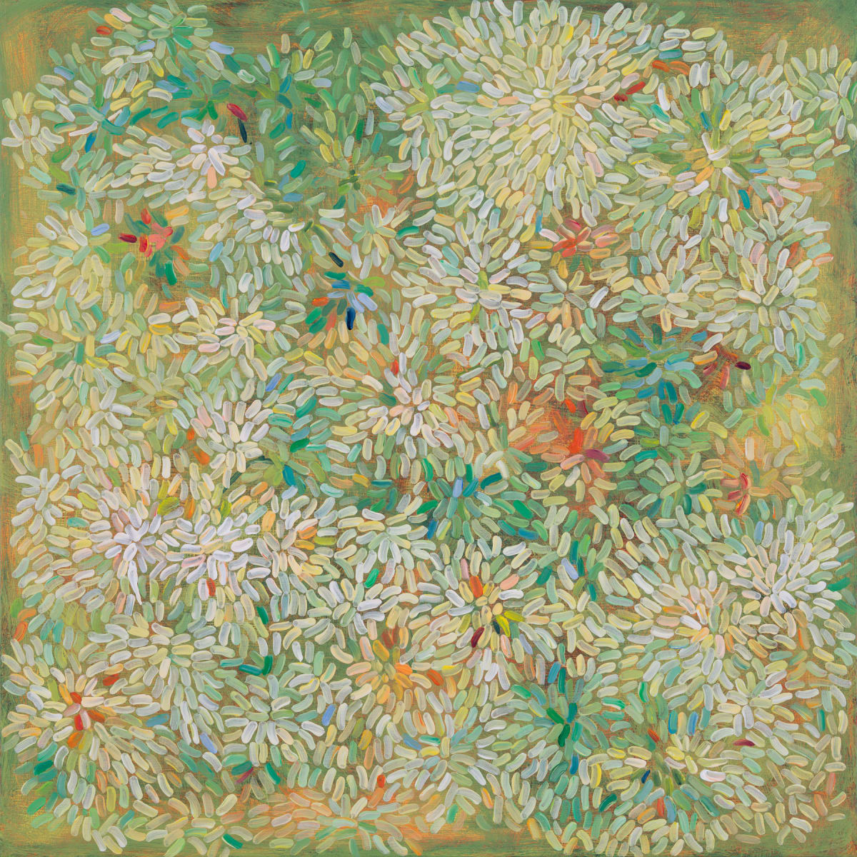 Achillea by Jill Christian 