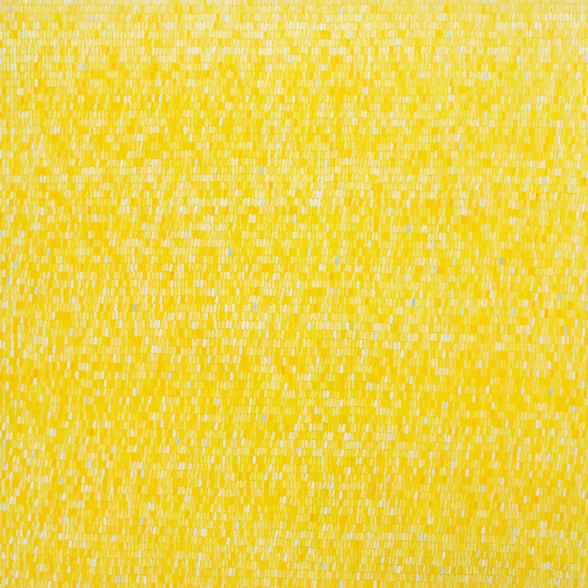 Marigold by Jill Christian 