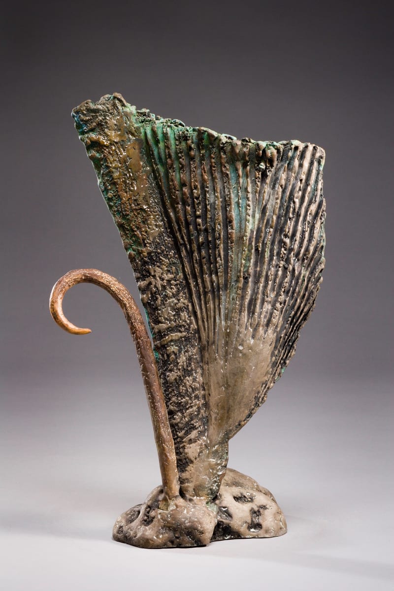 47 by Michael Warrick, Image 1.