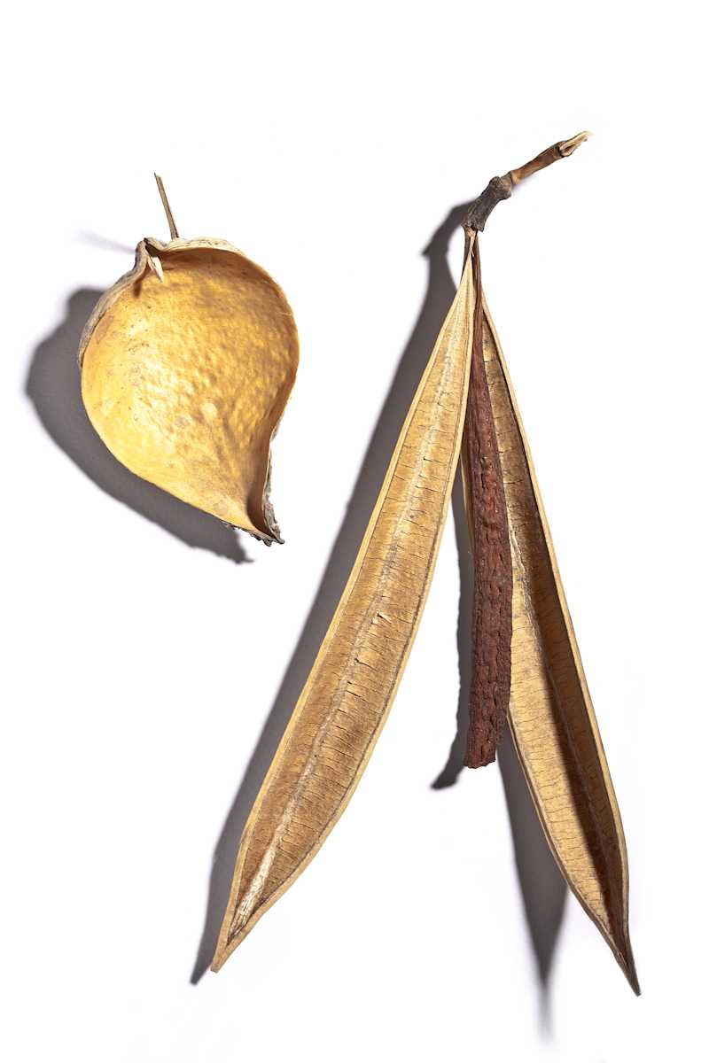 138 by Michael Warrick  Image: 138