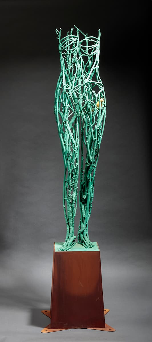 247, Nest by Michael Warrick  Image: 247a