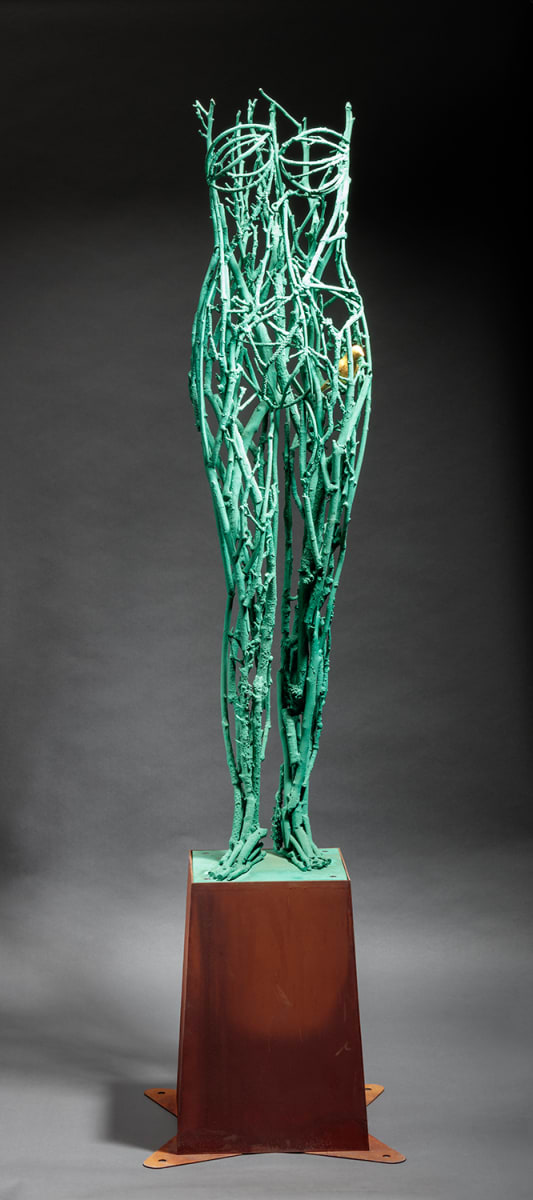247, Nest by Michael Warrick, Image 1.