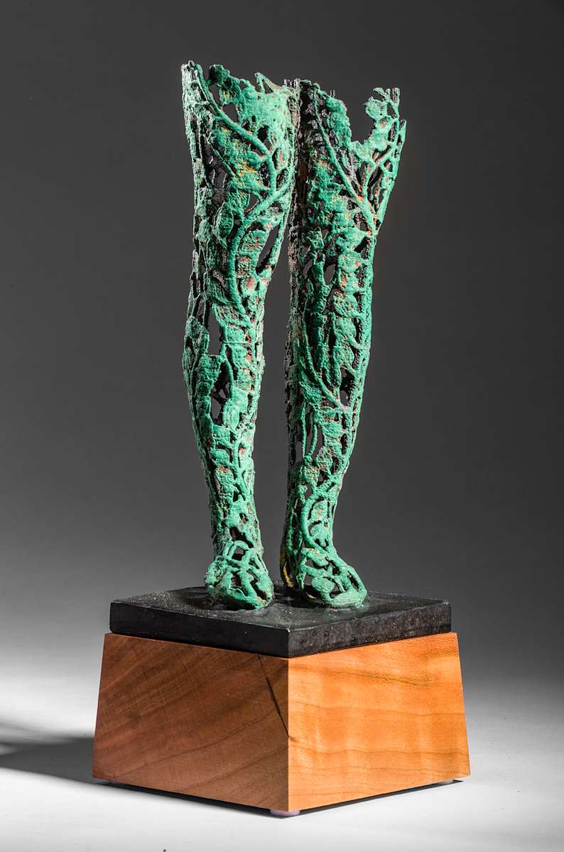 347, The Lady (Leg Detail) by Michael Warrick 