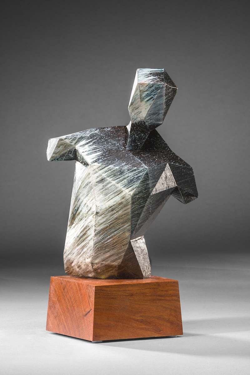 Poly-Male #1 by Michael Warrick  Image: 380