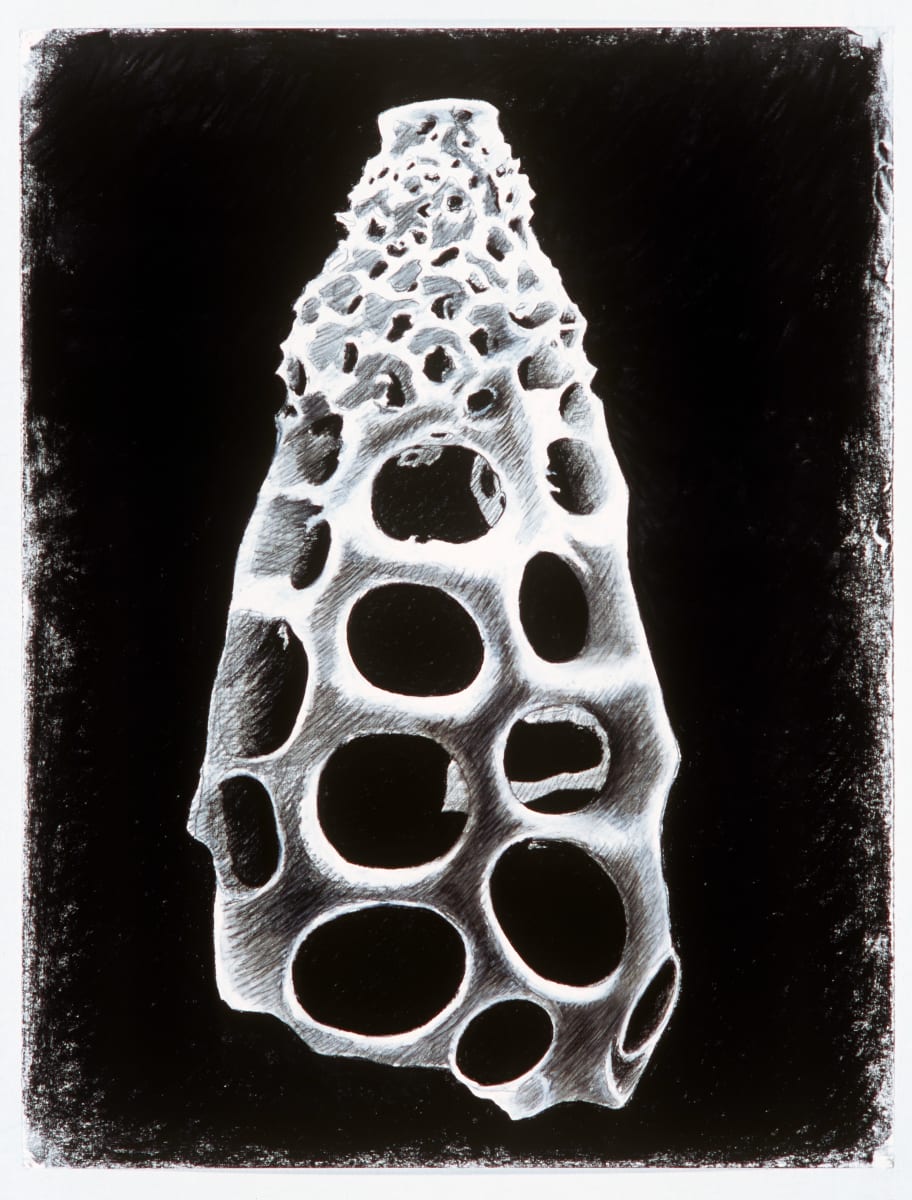 Nature Vessel #5 by Michael Warrick, Image 1.