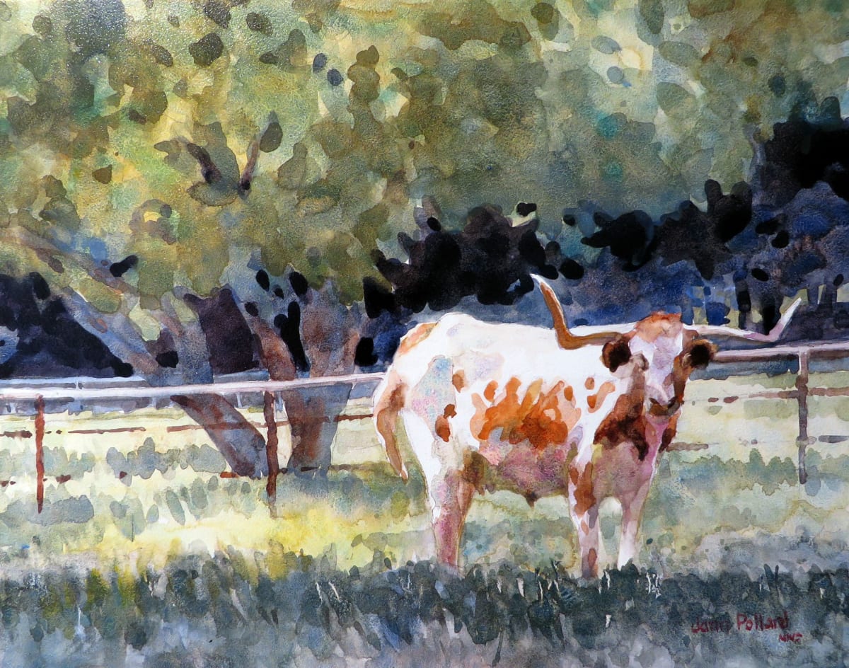 Texas Longhorn by Jann Lawrence Pollard 