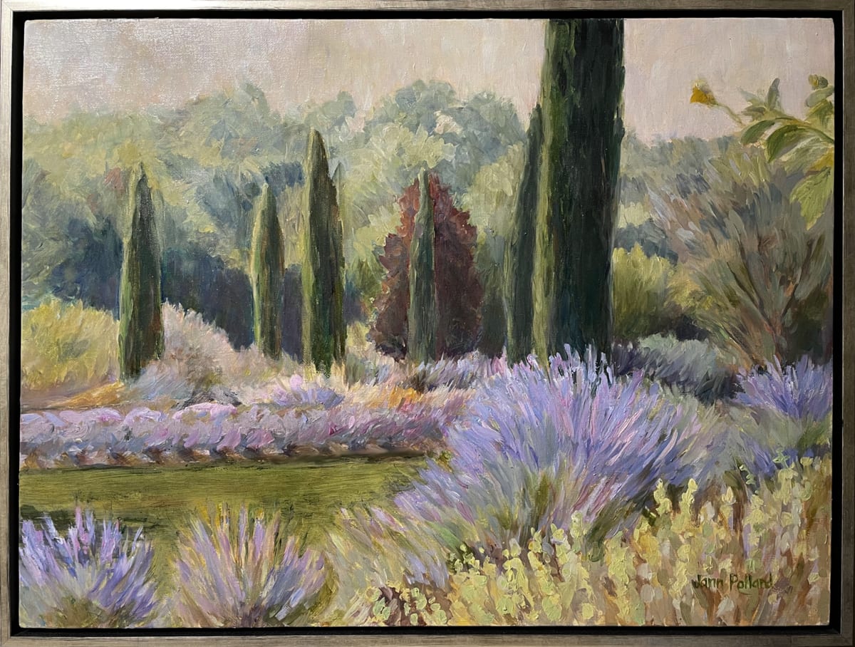 Provence in South Carolina by Jann Lawrence Pollard  Image: Provence garden in South Carolina