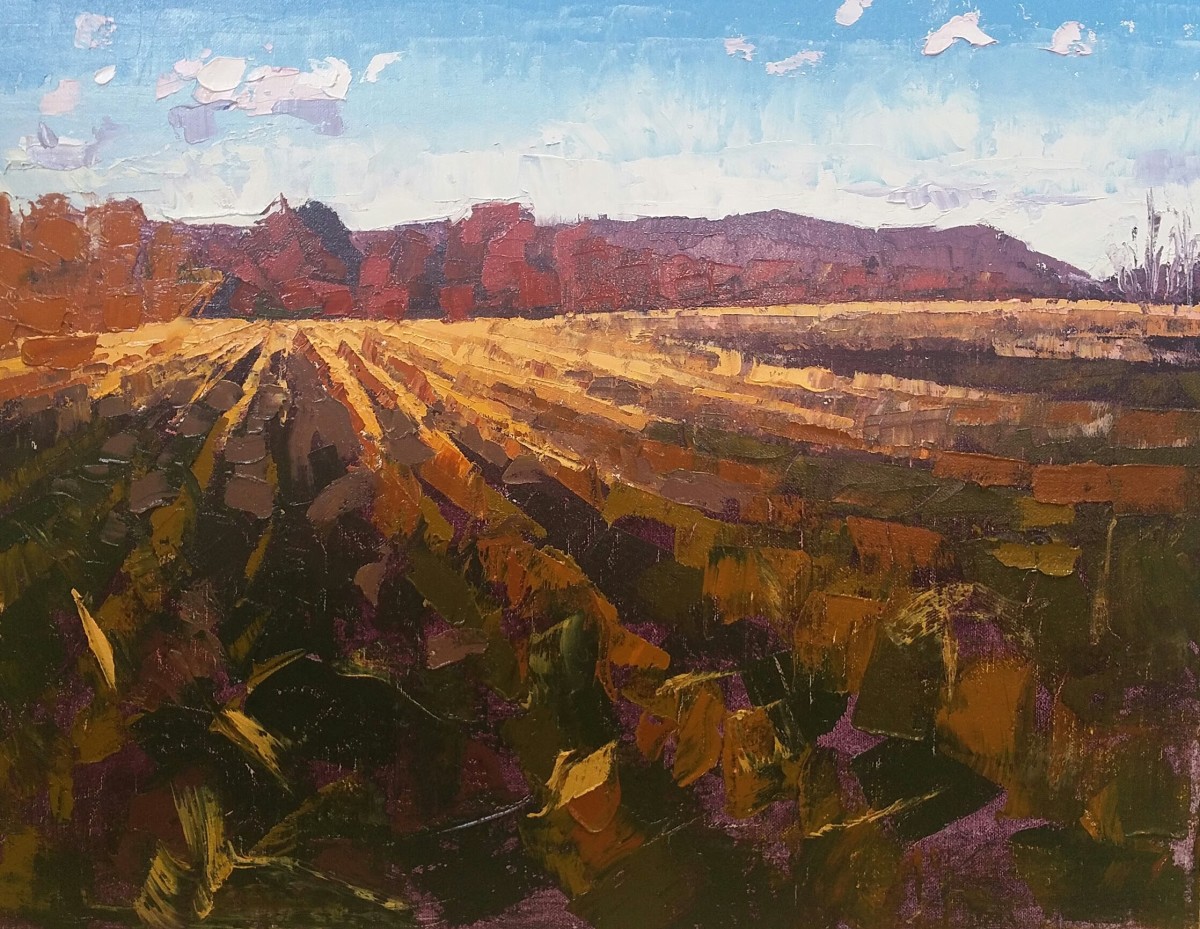 Sunset at Shorn Field by Sally Veach 