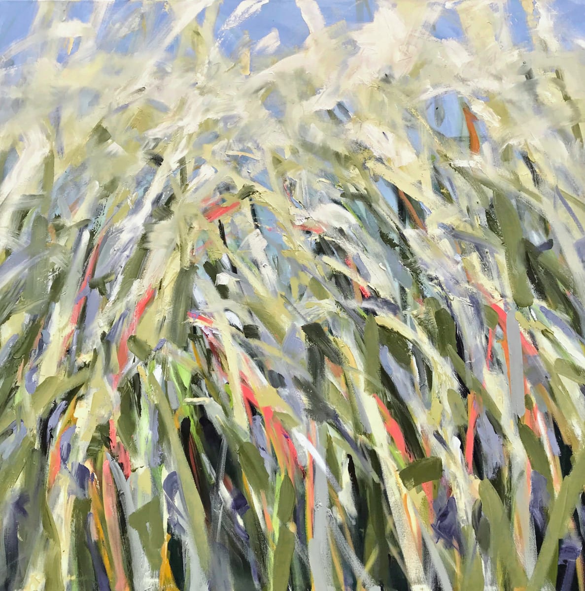 Arura 7 (Before the Cut) by Sally Veach 