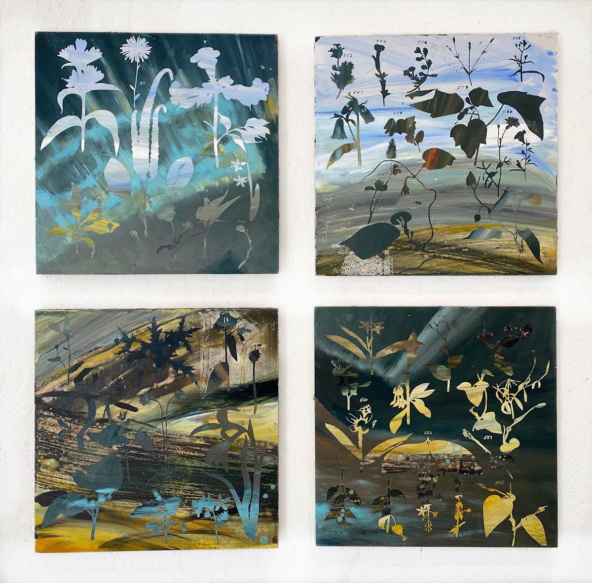 An Oak Spring Landscape Overtaken by "Blumen Pflanzen und Fruchte" by Franz Anton von Scheidl, 1765-1770" and Frederic Church's "Aurora Borealis", 1865 by Sally Veach 