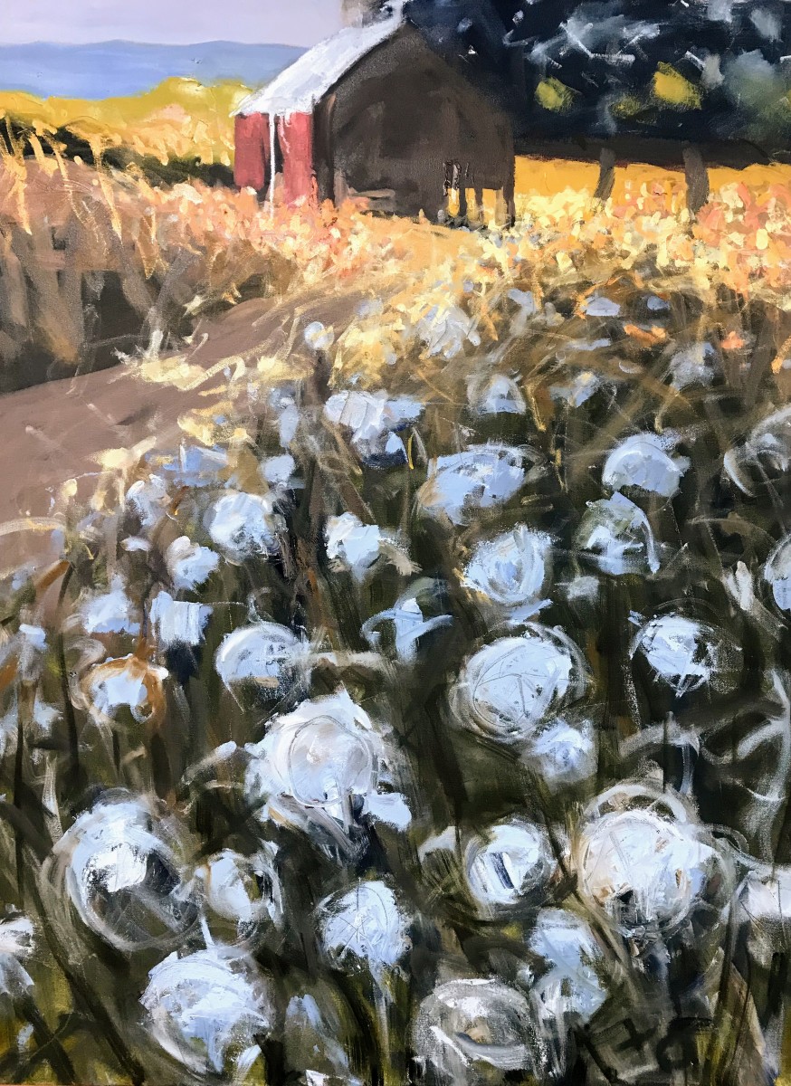 Seeing the Light by Sally Veach 