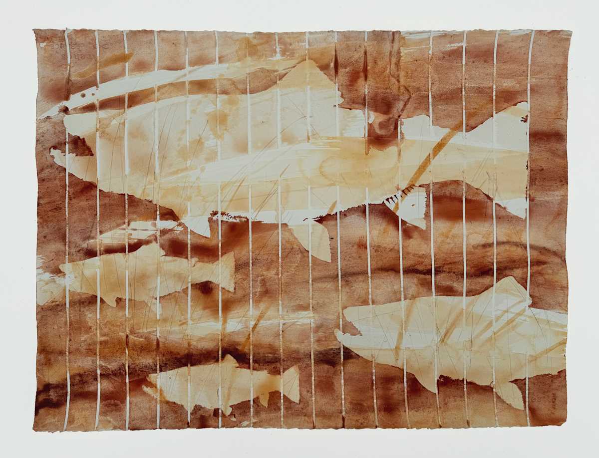 Red Mo #1 | Brook Trout by Sally Veach, Image 1.