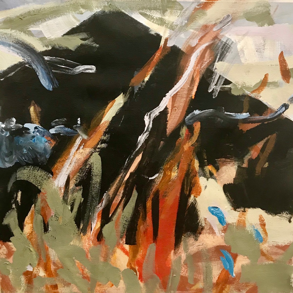 The Burning by Sally Veach 