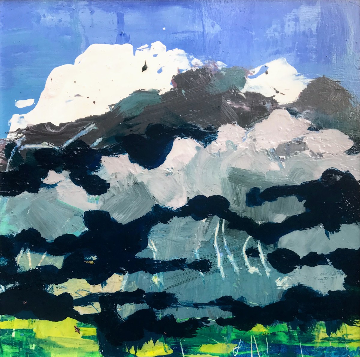 The Storm by Sally Veach 