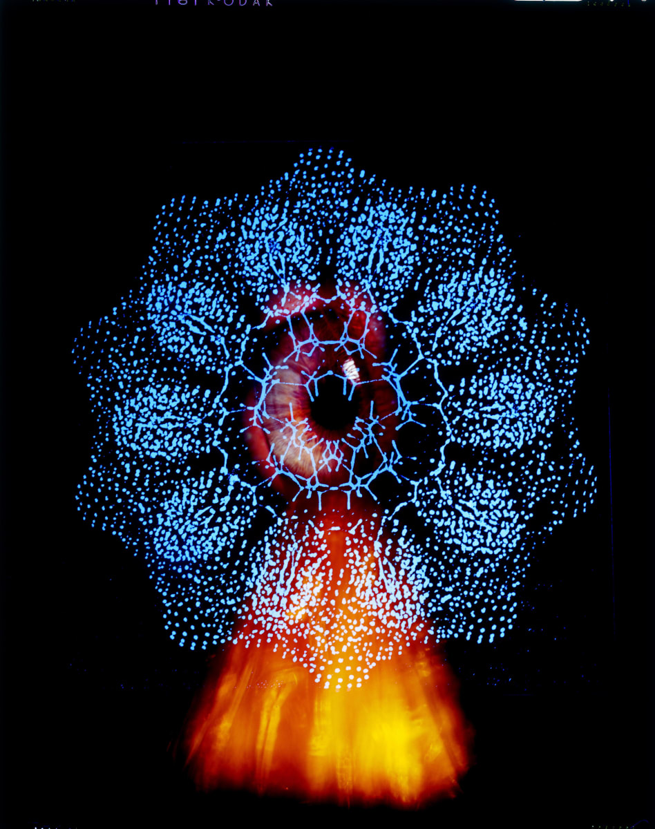 השפעת הדנ"א by Dorit Feldman Legacy Fund 