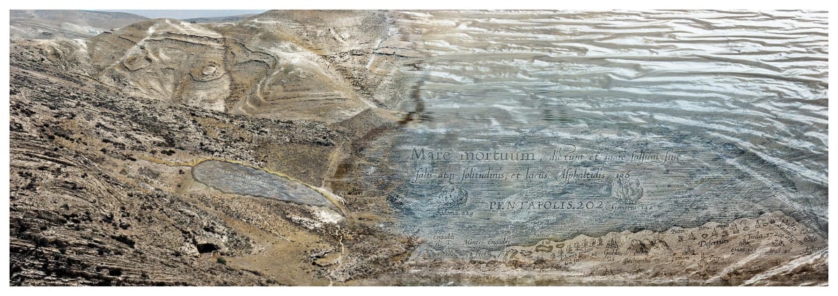 Discernible from the Depths by Dorit Feldman Legacy Fund 