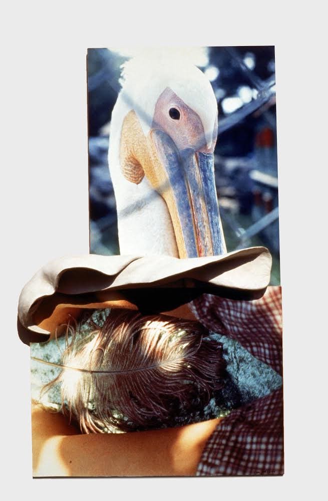 From the series 'Body Art'- pelican by Dorit Feldman Legacy Fund 