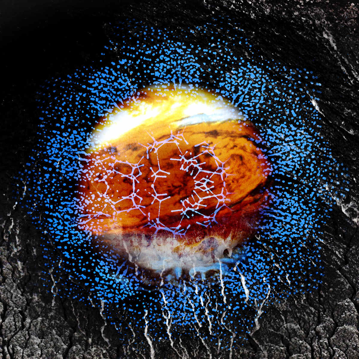 jupiter eye by Dorit Feldman Legacy Fund 