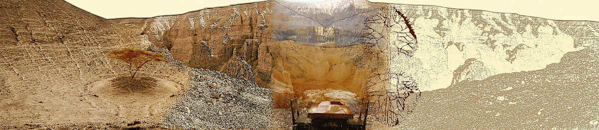 המאוחדת הגדולה 2008 - עותק by Dorit Feldman Legacy Fund 