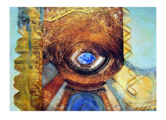 ראיה ברורה by Dorit Feldman Legacy Fund 