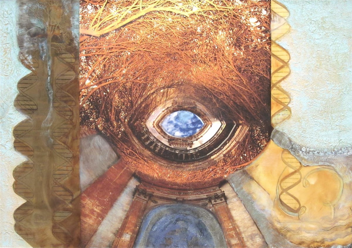 Clear Vision by Dorit Feldman Legacy Fund 