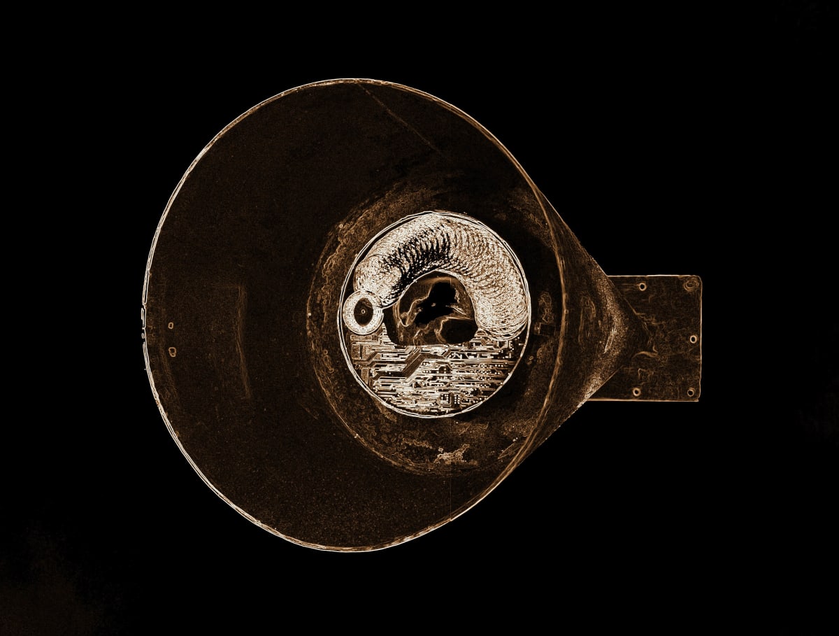 2014 תצפית הנצפה by Dorit Feldman Legacy Fund 