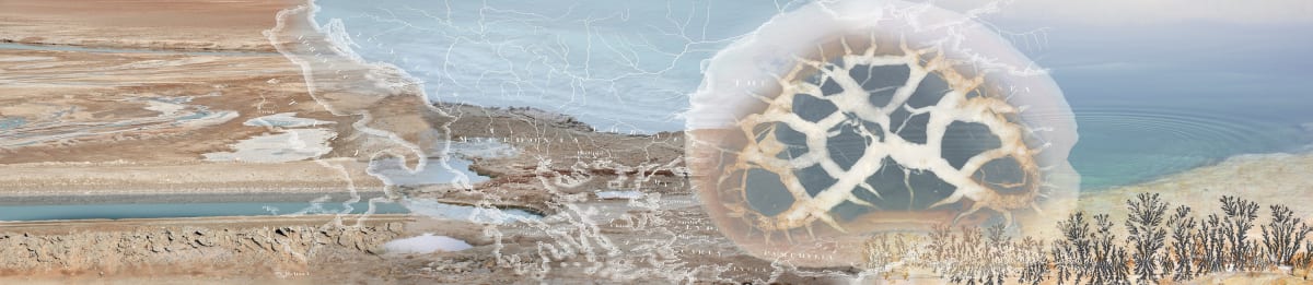 Salt Traces as Preservers of Culture by Dorit Feldman Legacy Fund 