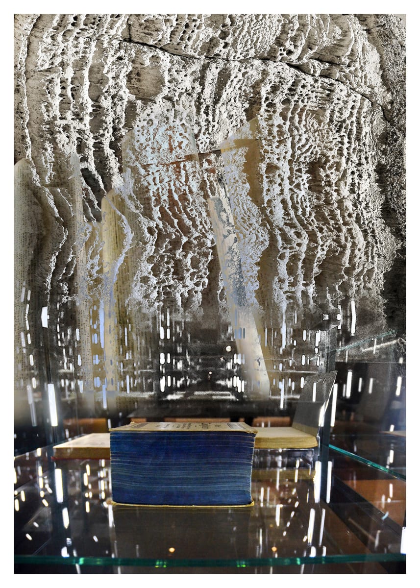 Poetic Archives - I by Dorit Feldman Legacy Fund 