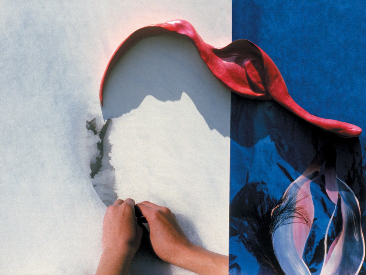 From the series 'Body Art' by Dorit Feldman Legacy Fund 