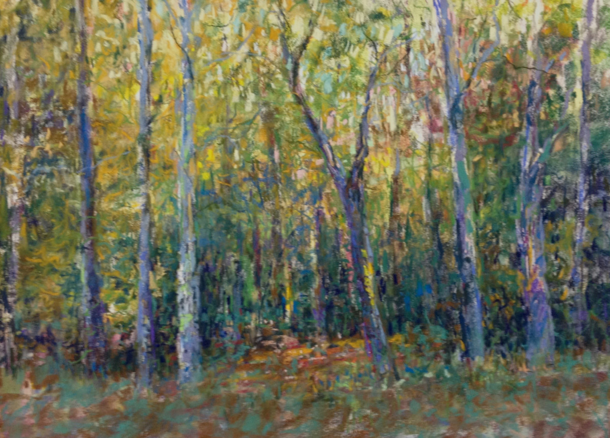 Lightbars by Tom Bailey 